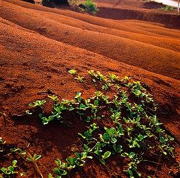 Switch2首次使用前需联网更新 以激活新功能